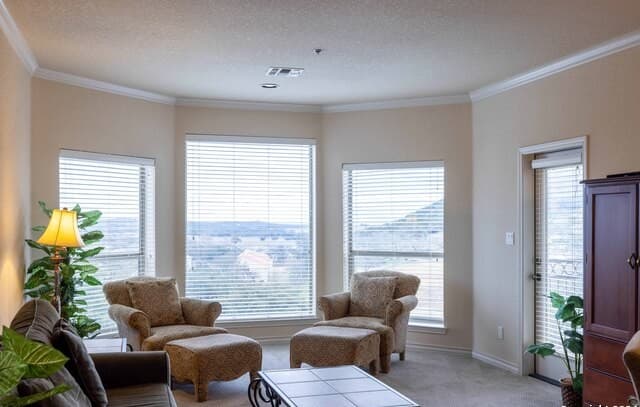 rental at 20  Tapatio Dr E Unit 110 in Boerne, TX — photo 3