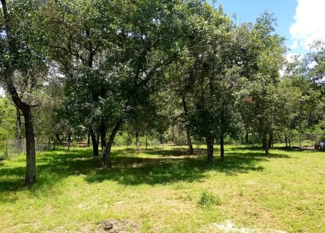 rental at 23322  Dragon Rock Rd in Elmendorf, TX — photo 2