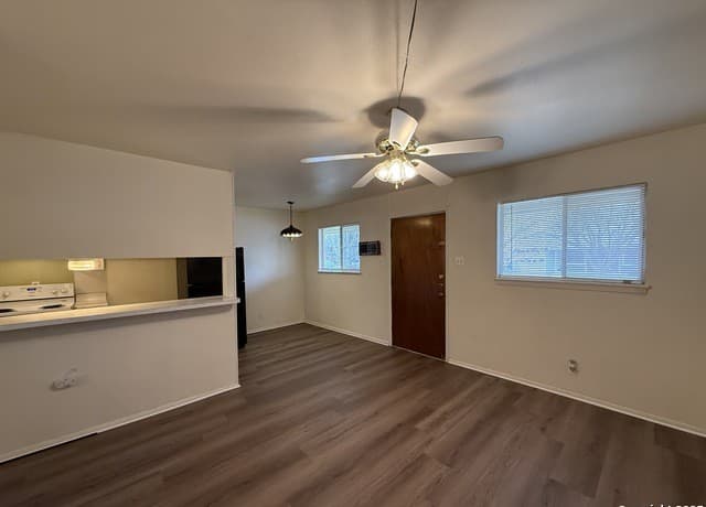 rental at 163  Richter in New Braunfels, TX — photo 4