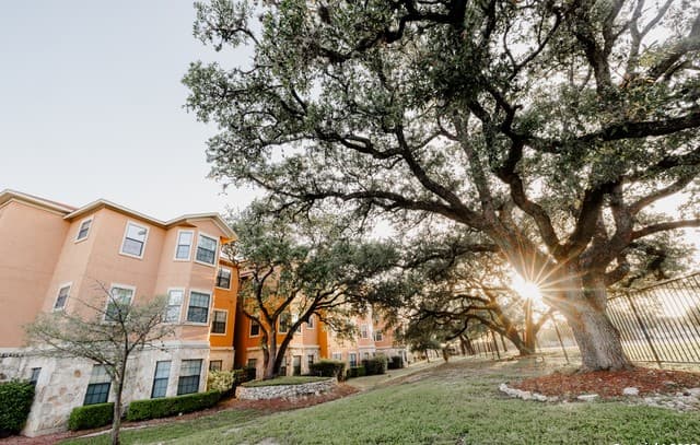 rental at 6160  Eckhert Rd Unit APT 1711 in San Antonio, TX — photo 2