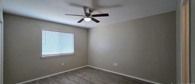 rental at 523  Clearfield Dr in New Braunfels, TX — photo 5