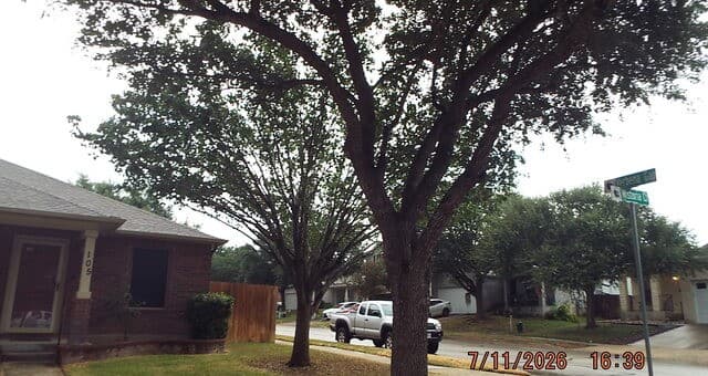 rental at 105  Wistoria in Cibolo, TX — photo 3
