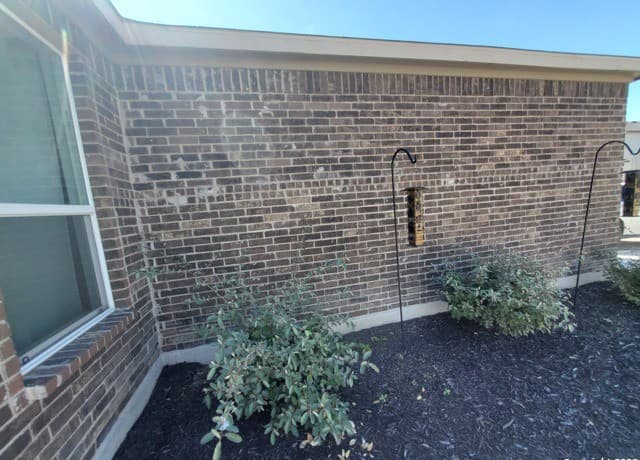 rental at 305  Dakota Crk in New Braunfels, TX — photo 4