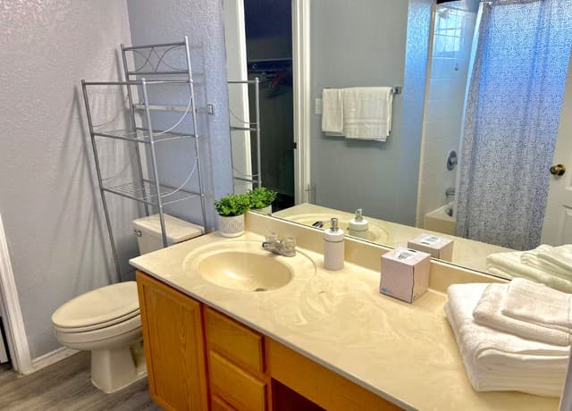 rental at 410  Mahogany Chest in San Antonio, TX — photo 4
