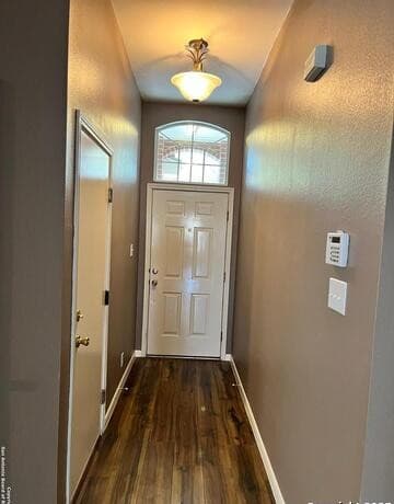 rental at 109  Silent Country in Cibolo, TX — photo 3