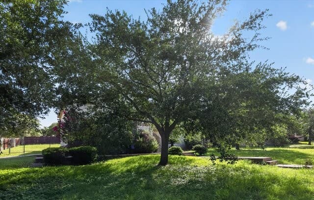 rental at 20918  Cactus Ridge in San Antonio, TX — photo 3