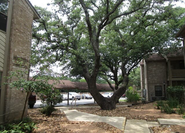 2-bedroom rental at 12446 Starcrest Dr Unit 108 in San Antonio, TX — photo 2