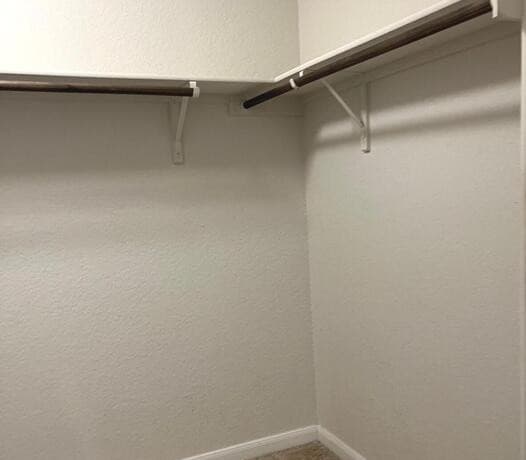 rental at 2118  Silver Maple in New Braunfels, TX — photo 4