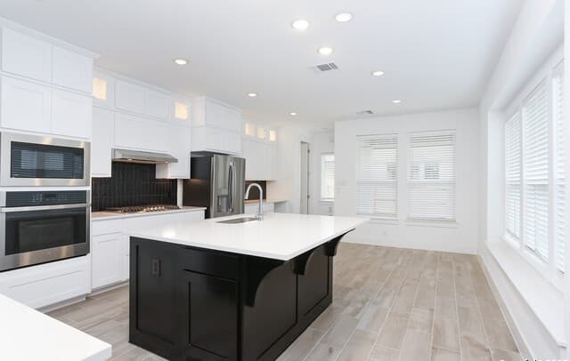 rental at 1059  Lime Gruene in New Braunfels, TX — photo 2