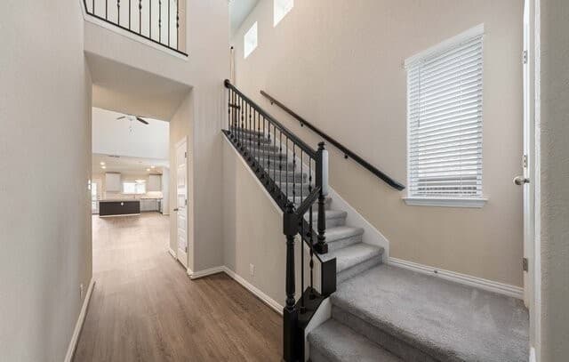rental at 2080  Cowan Dr in New Braunfels, TX — photo 5