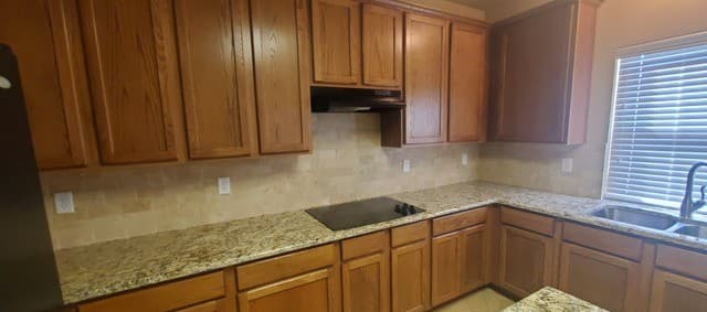 rental at 249  Nomad in Cibolo, TX — photo 4
