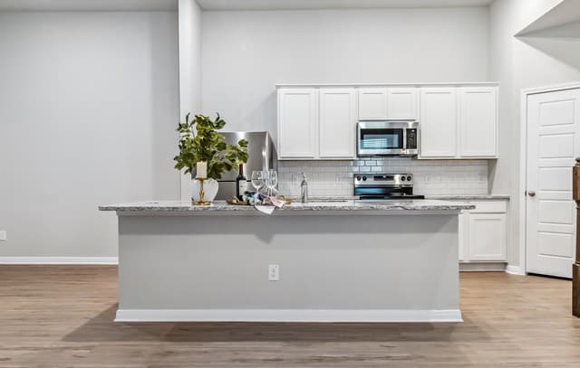 rental at 197  Nespral Dr. in San Antonio, TX — photo 4