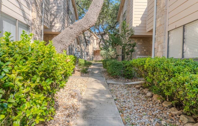 rental at 829 W Bitters Rd Unit APT 503 in San Antonio, TX — photo 2