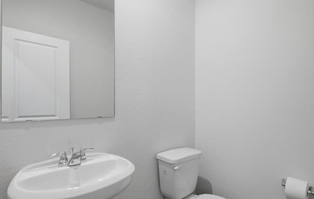 rental at 352  American Robin Way in San Antonio, TX — photo 5