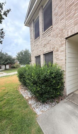 rental at 7911  Hoosier Park in Selma, TX — photo 2