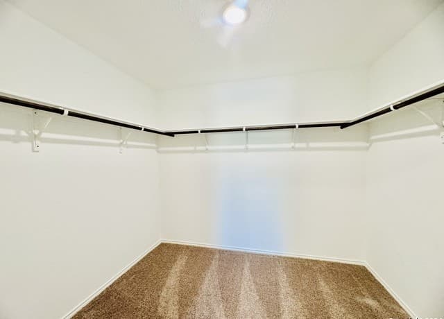 rental at 11638  Existing Run in Von Ormy, TX — photo 5
