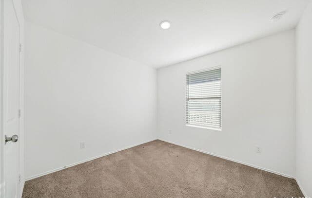 rental at 13002  Sage Turn in St Hedwig, TX — photo 5