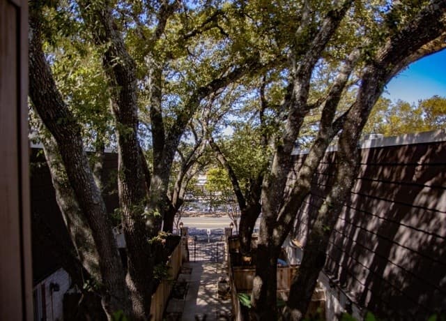 rental at 8030  Broadway Unit 202C in San Antonio, TX — photo 3
