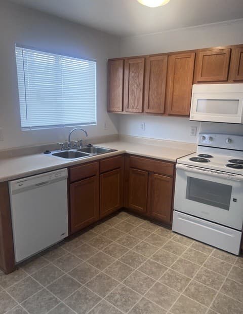 rental at 16502  Clydesdale Run in Selma, TX — photo 5