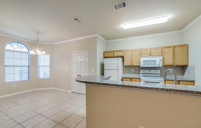 rental at 6160  Eckhert Unit APT 606 in San Antonio, TX — photo 4
