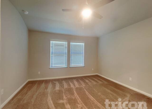 rental at 13615  Emerson Way in St Hedwig, TX — photo 5