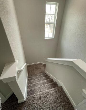 rental at 21518  James Charles in San Antonio, TX — photo 5