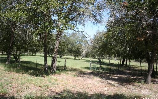 718 Cherry Ridge — photo 4