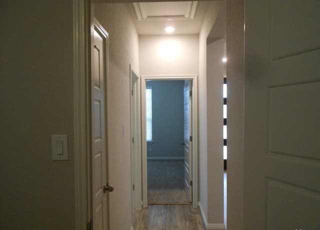 9729 Novacek — photo 3