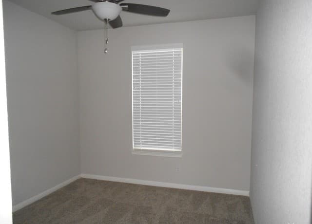 9729 Novacek — photo 4