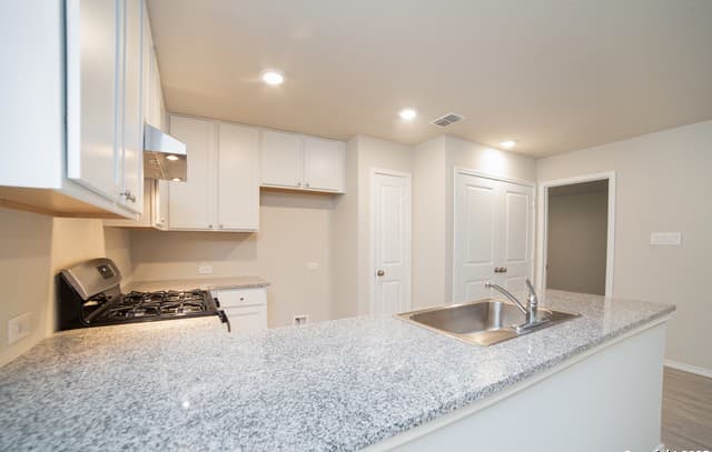 8530 Western Tanager — photo 5