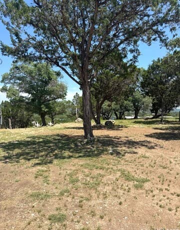 261 Blackfoot — photo 3