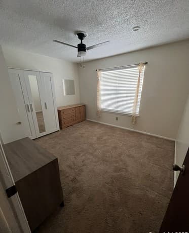 923 Vance Jackson — photo 2