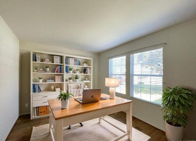 12626 Sunny Wonder — photo 3