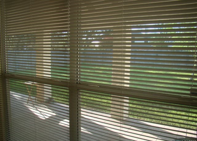 7011 Mary Todd — photo 5