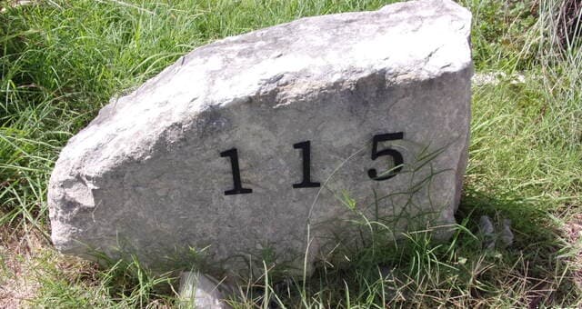 115 Manuel Herrera — photo 4