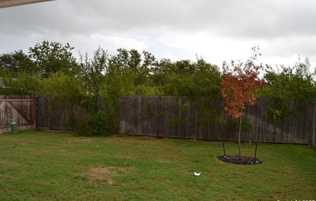 8826 Scarlett Place — photo 3