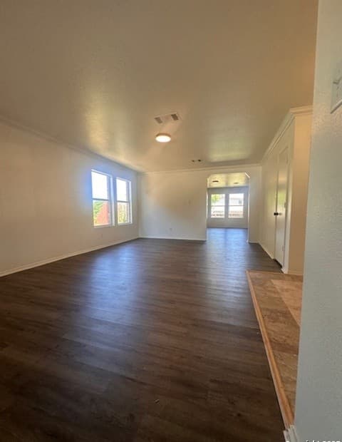 1667 Spice — photo 2