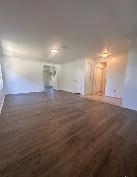 1667 Spice — photo 3