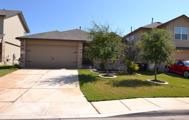 15525 Gray Catbird — photo 1