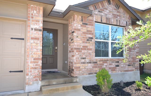 15525 Gray Catbird — photo 2