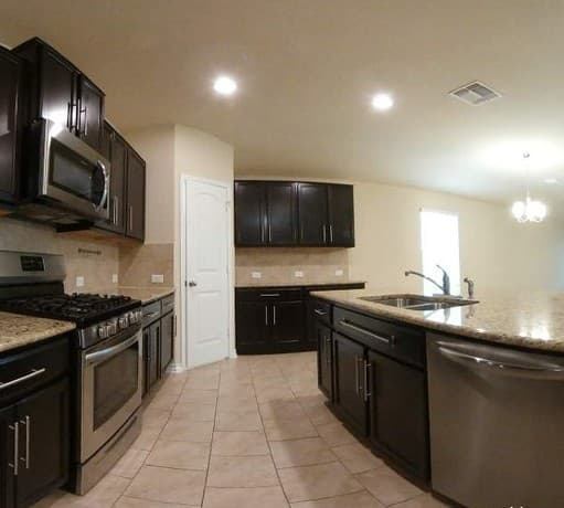 15525 Gray Catbird — photo 3