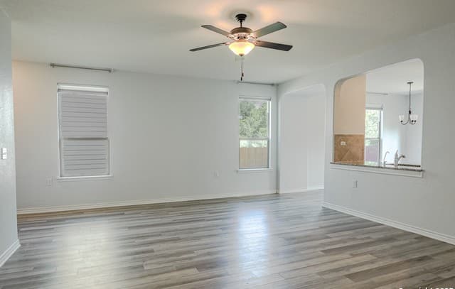 6431 Nolina — photo 5