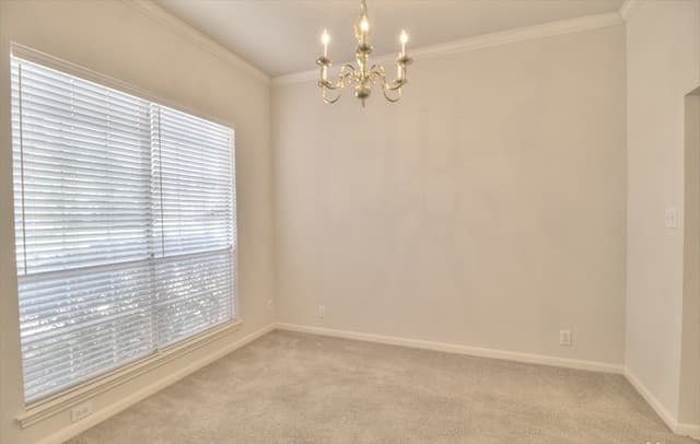 9902 Tezel Rd — photo 4