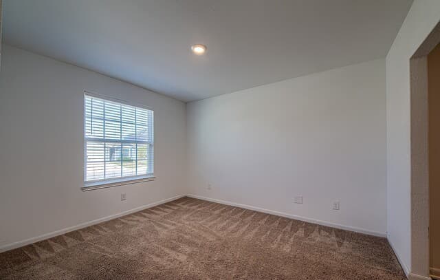 3150 Jackson — photo 4