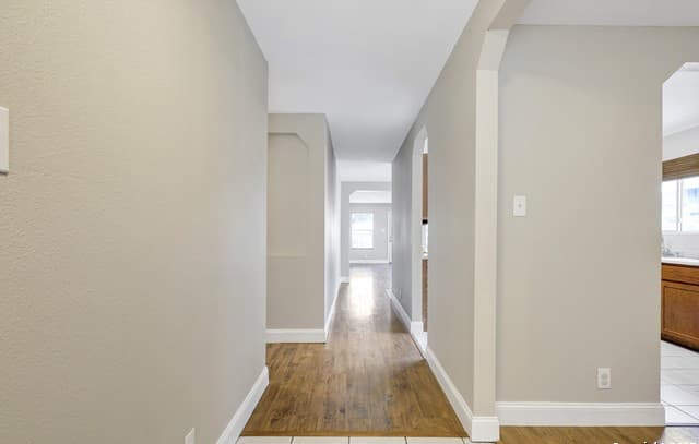 12627 Mexican Plum — photo 4