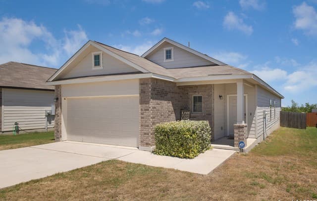 5418 Cicada — photo 3