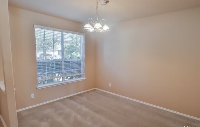 830 Campion Red — photo 4