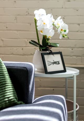 1401 S Flores Unit 202 — photo 5