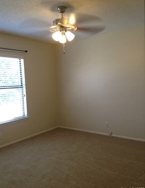 16703 Coral Glade — photo 4