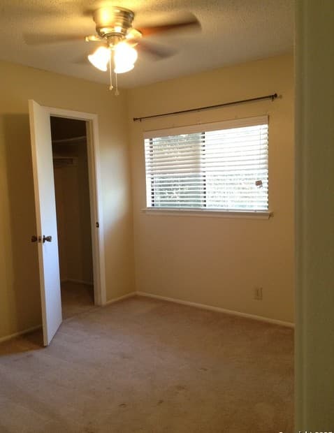 16703 Coral Glade — photo 5